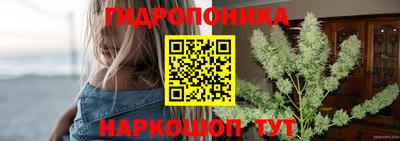 крисы Татарск