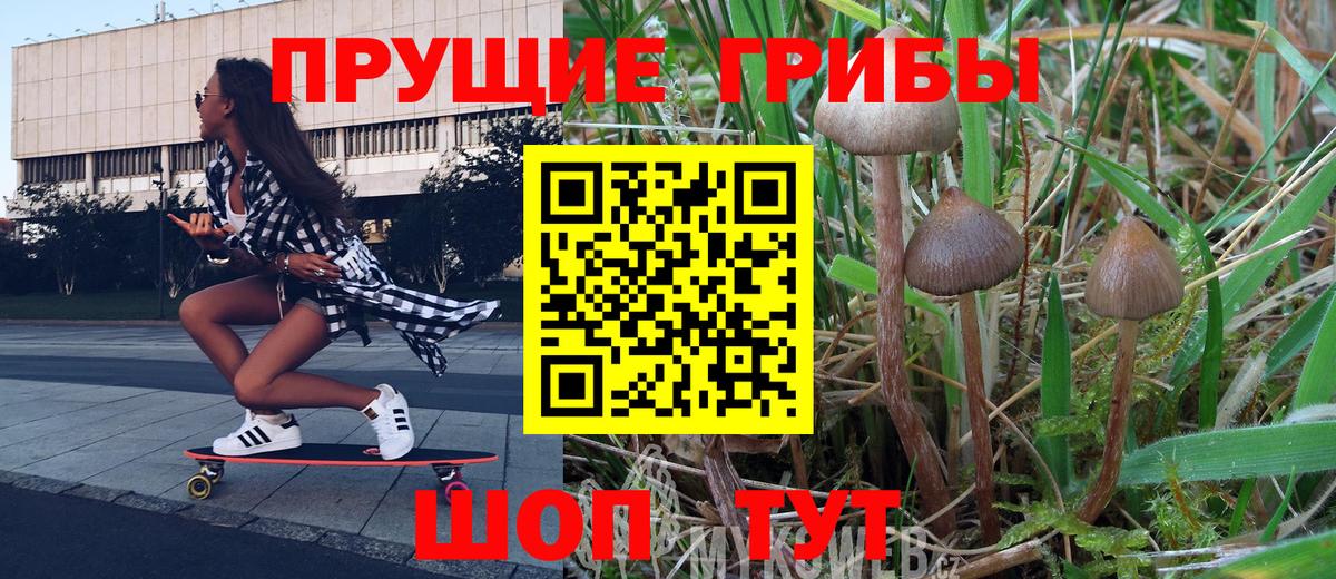 Галлюциногенные грибы GOLDEN TEACHER Мурино
