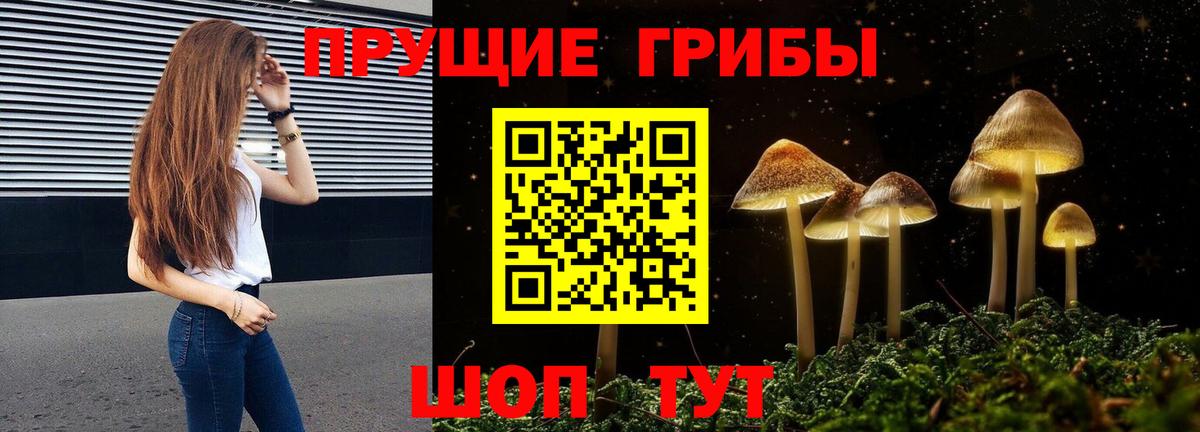 купить наркоту  Псилоцибиновые грибы ЛСД  Галлюциногенные грибы прущие грибы  Вход с VPN  Мурино 